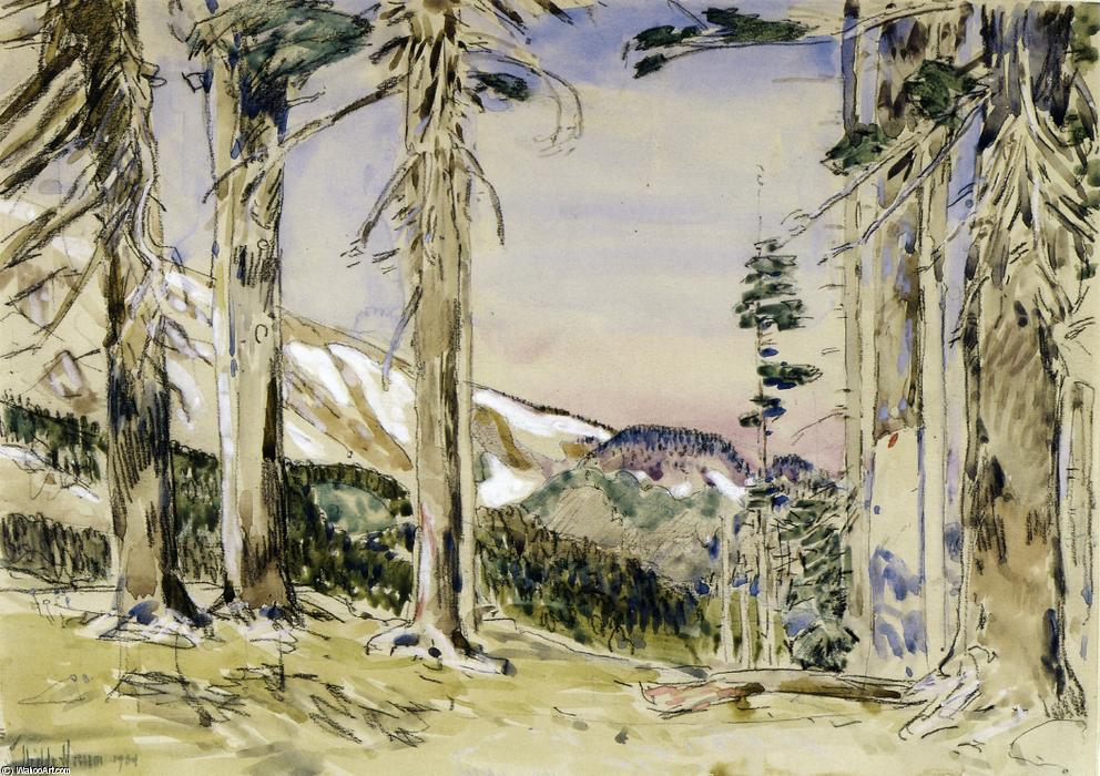 Wikoo.org - موسوعة الفنون الجميلة - اللوحة، العمل الفني Frederick Childe Hassam - End of Timberline, Mt. Hood