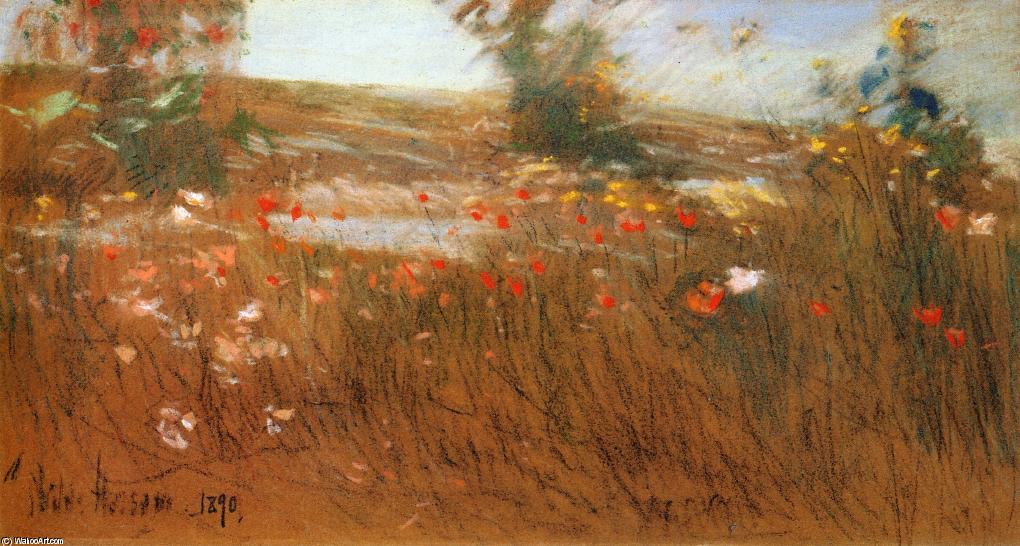 Wikioo.org - The Encyclopedia of Fine Arts - Painting, Artwork by Frederick Childe Hassam - Poppies, Isles of Shoals 1