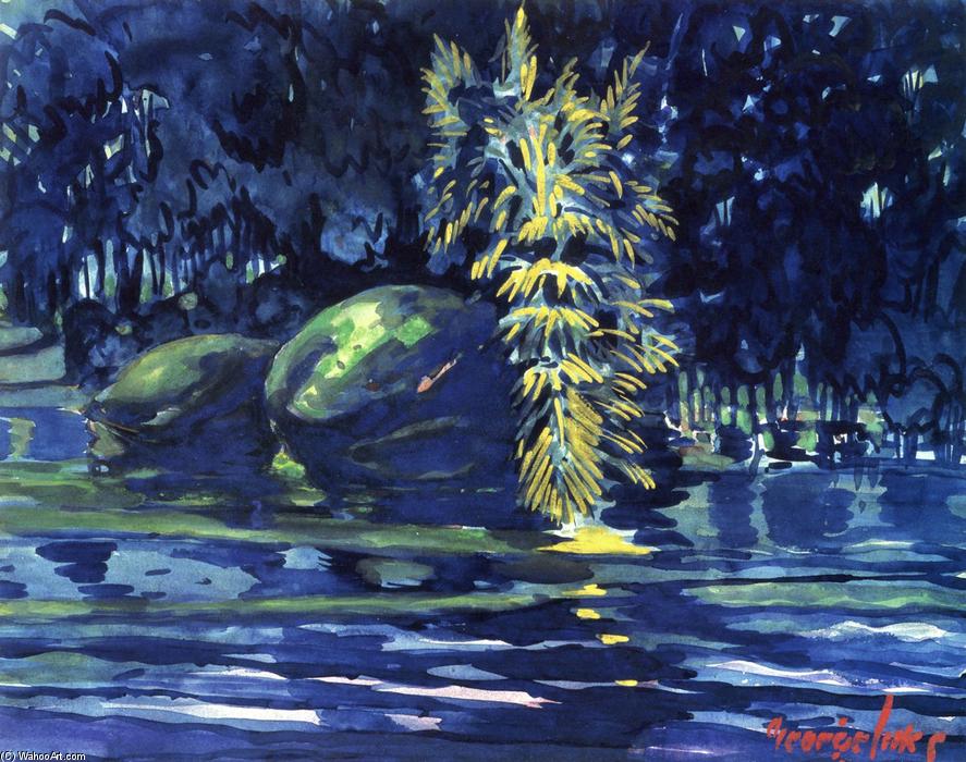 Wikioo.org – L'Encyclopédie des Beaux Arts - Peinture, Oeuvre de George Benjamin Luks - Boulders sur un Riverbank
