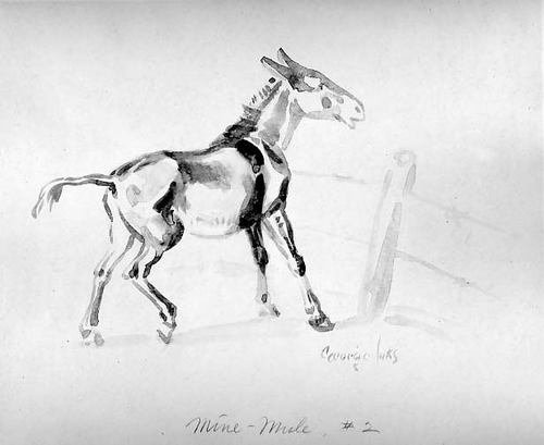 Wikioo.org - สารานุกรมวิจิตรศิลป์ - จิตรกรรม George Benjamin Luks - Mine-Mule 2