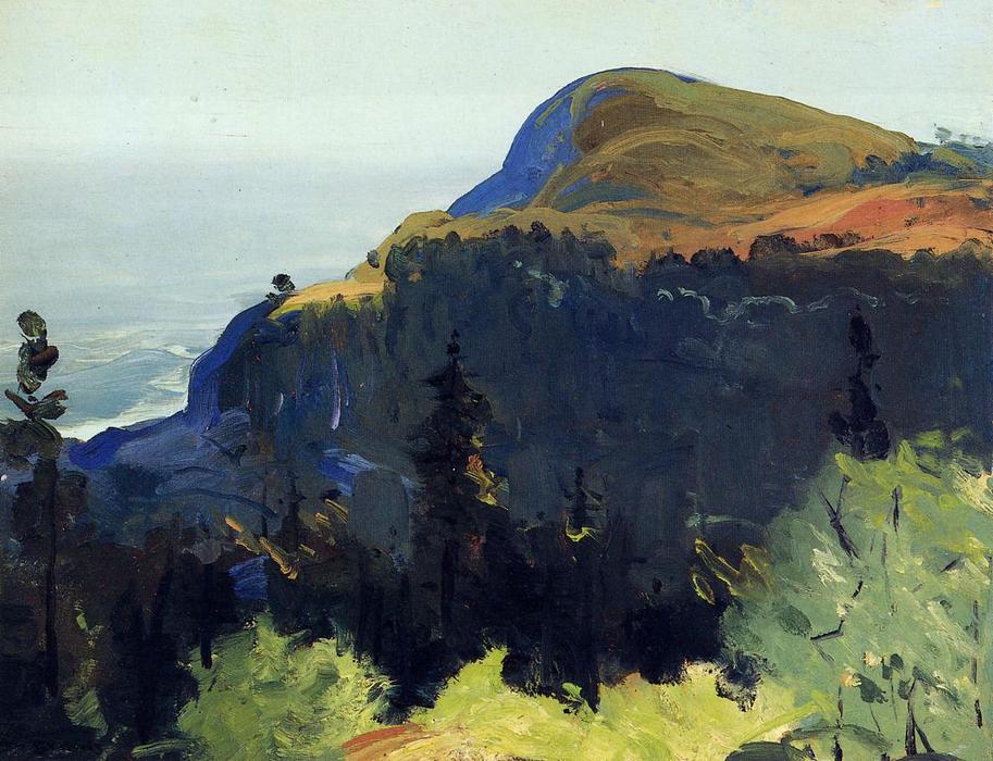 Wikioo.org - The Encyclopedia of Fine Arts - Painting, Artwork by George Wesley Bellows - Hill and Valley