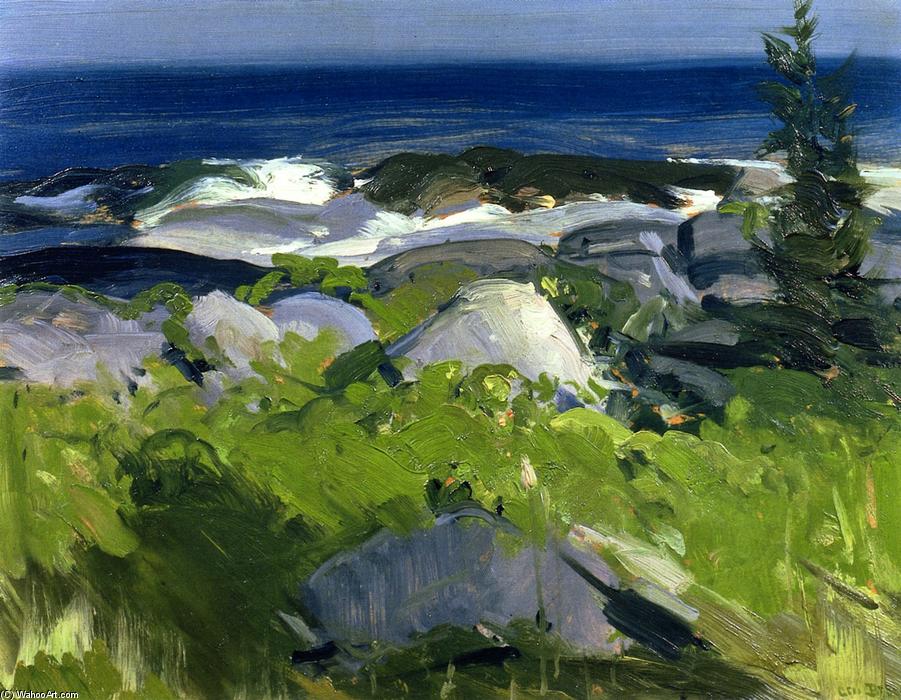 Wikioo.org - The Encyclopedia of Fine Arts - Painting, Artwork by George Wesley Bellows - Vine Clad Shore - Monhegan Island
