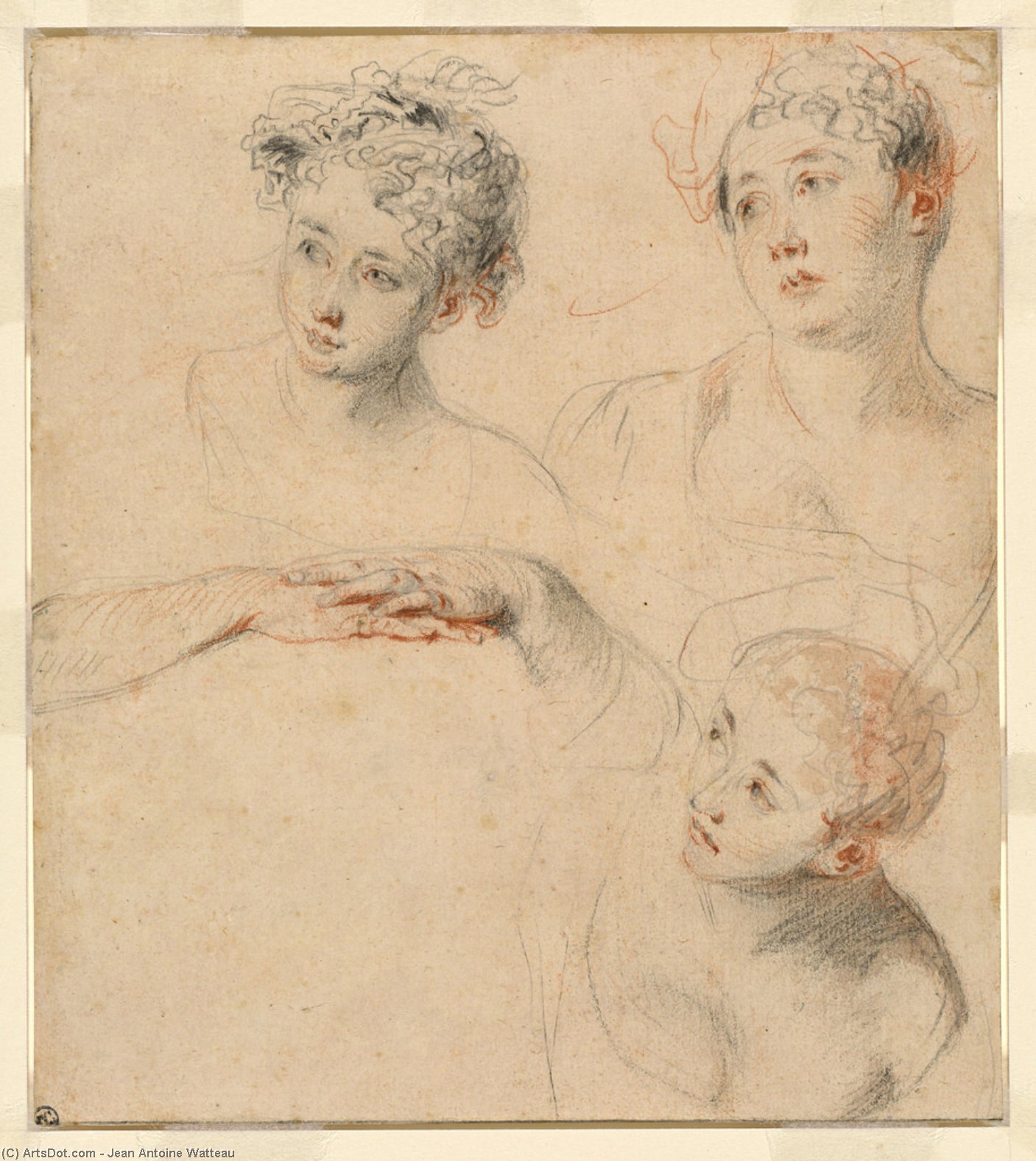 Wikioo.org - The Encyclopedia of Fine Arts - Painting, Artwork by Jean Antoine Watteau - Three Studies of a Woman's Head and a Study of Hands [recto],