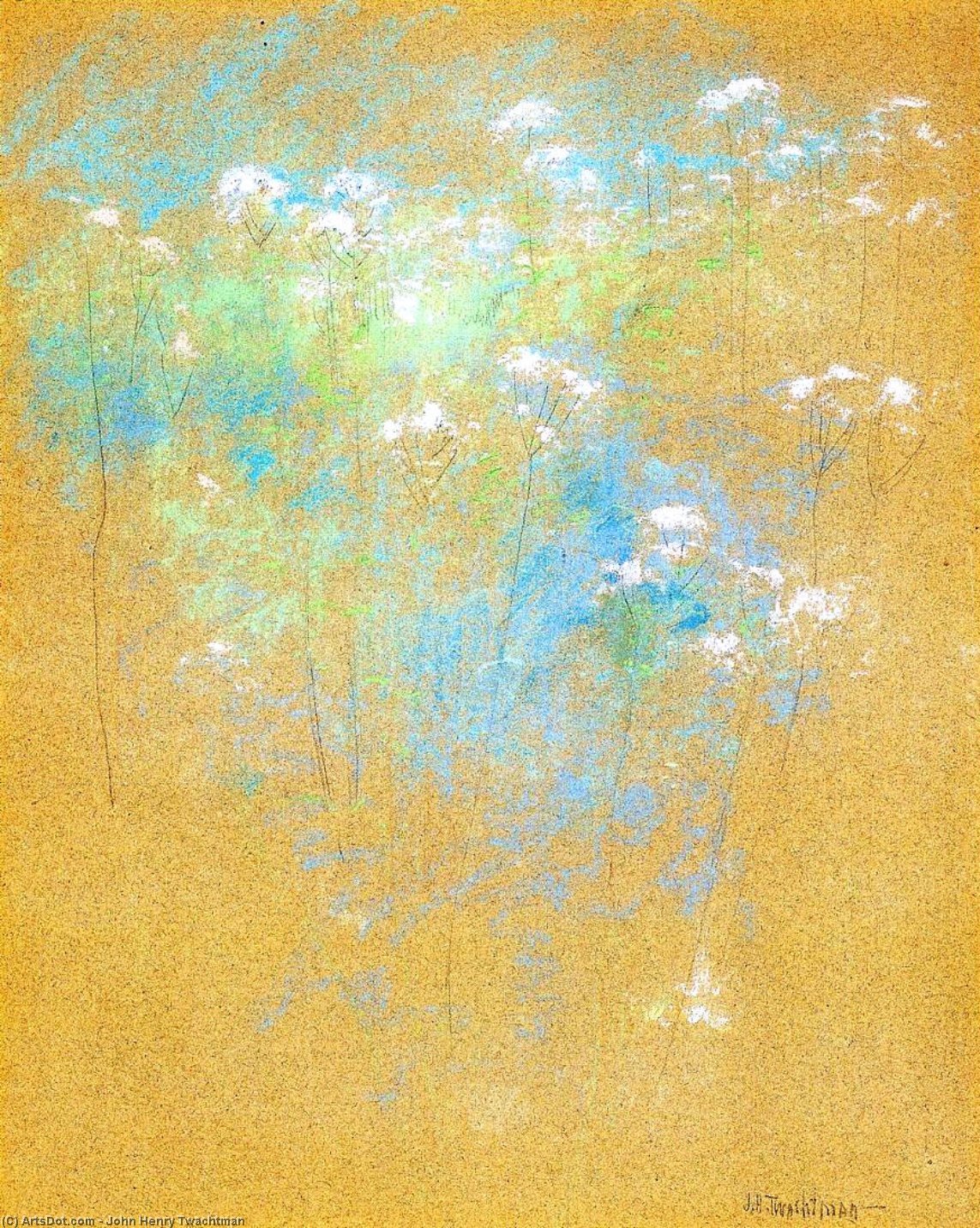 Wikioo.org - Bách khoa toàn thư về mỹ thuật - Vẽ tranh, Tác phẩm nghệ thuật John Henry Twachtman - Flowers