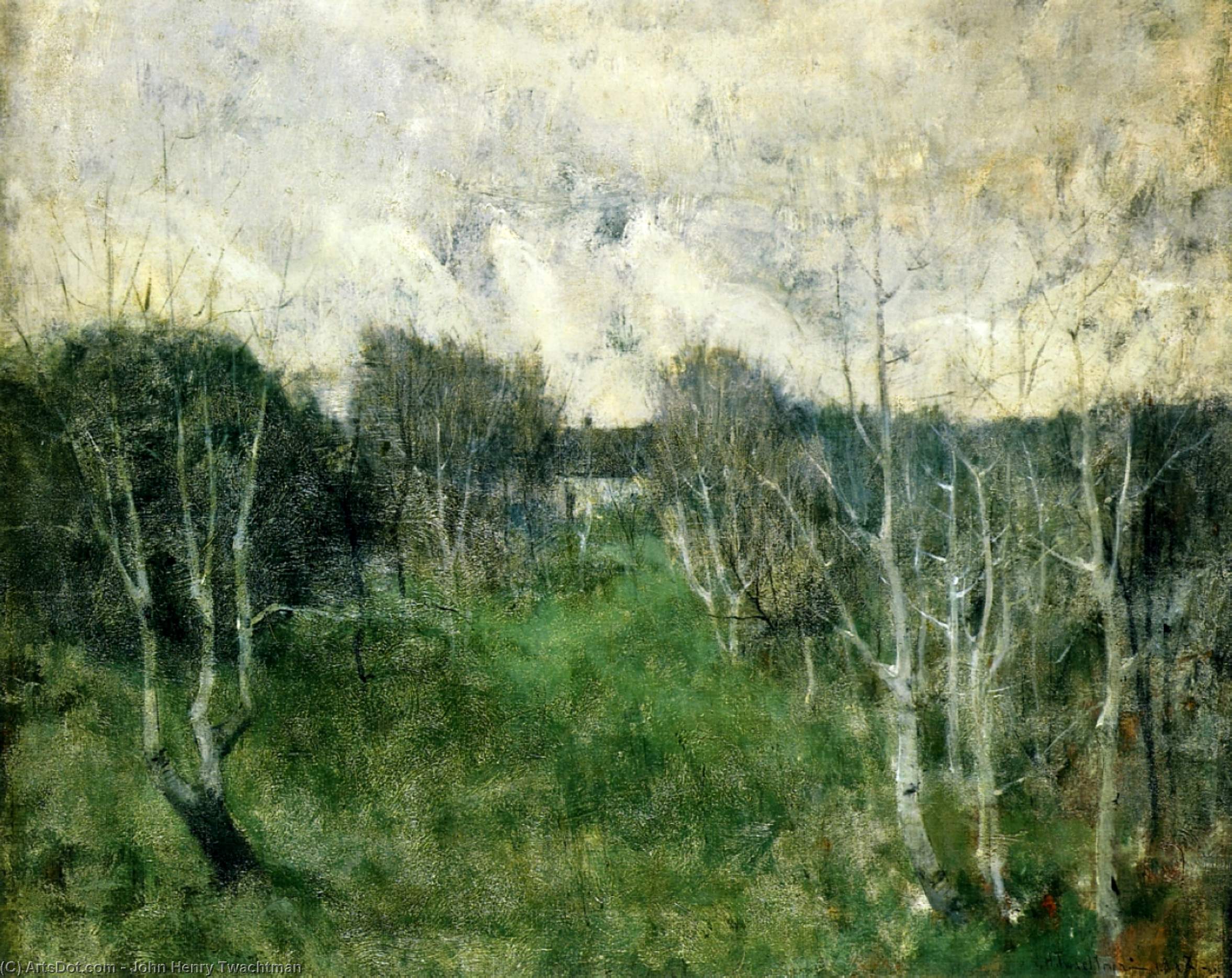 Wikioo.org - The Encyclopedia of Fine Arts - Painting, Artwork by John Henry Twachtman - Gray Day
