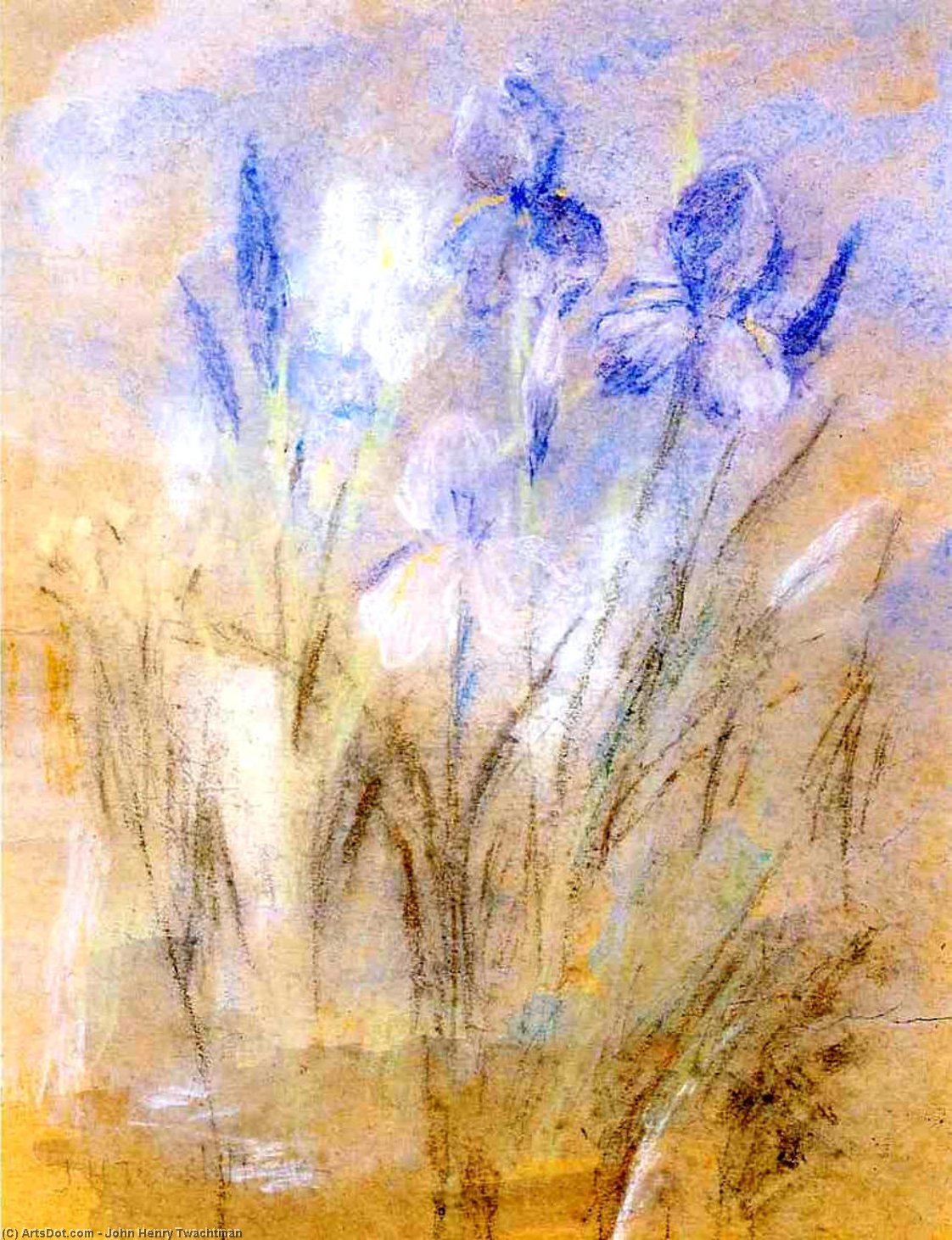 WikiOO.org - Encyclopedia of Fine Arts - Målning, konstverk John Henry Twachtman - Irises