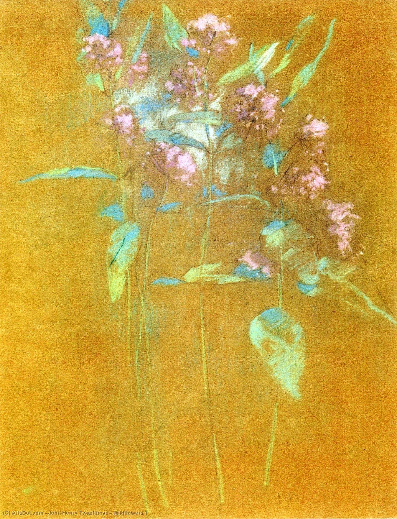 Wikioo.org - Bách khoa toàn thư về mỹ thuật - Vẽ tranh, Tác phẩm nghệ thuật John Henry Twachtman - Wildflowers 1