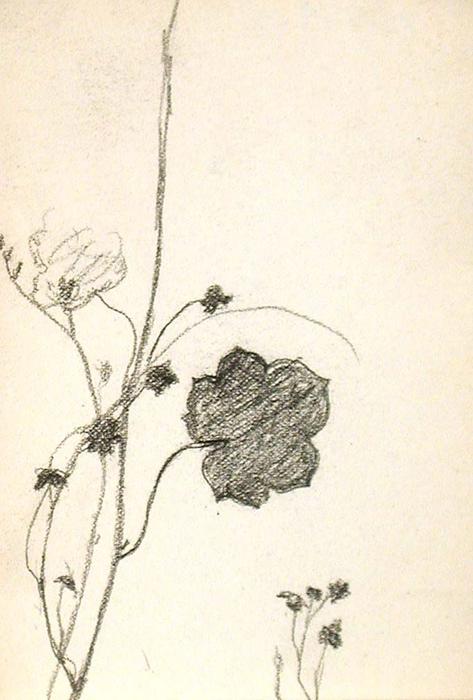 WikiOO.org - Енциклопедия за изящни изкуства - Живопис, Произведения на изкуството John Ottis Adams - Flower