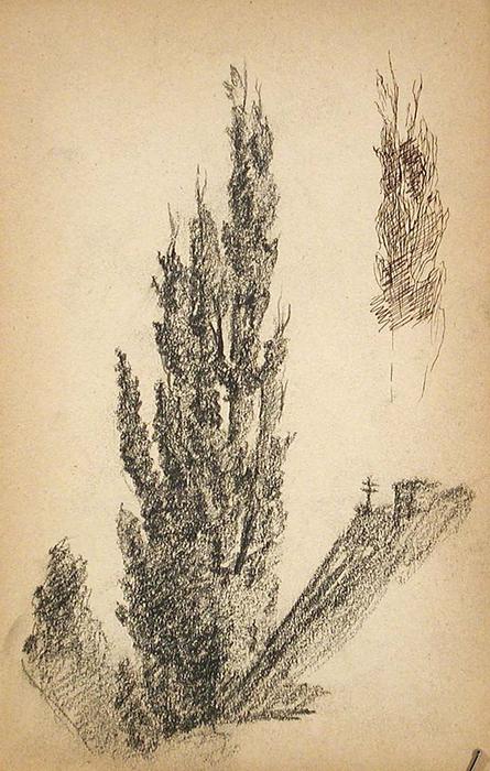 WikiOO.org - Encyclopedia of Fine Arts - Lukisan, Artwork John Ottis Adams - Poplar Tree