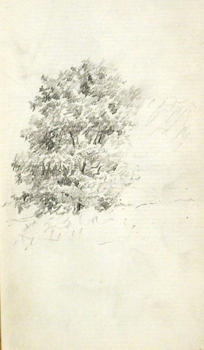 WikiOO.org - Encyclopedia of Fine Arts - Schilderen, Artwork John Ottis Adams - Tree 5