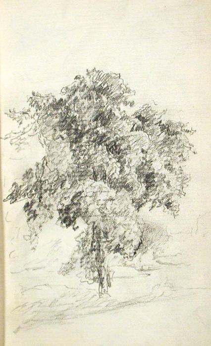 Wikioo.org - The Encyclopedia of Fine Arts - Painting, Artwork by John Ottis Adams - Tree 6