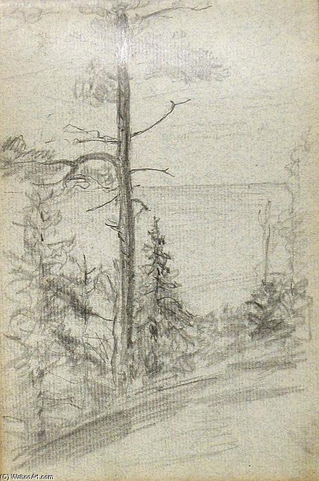 Wikioo.org - The Encyclopedia of Fine Arts - Painting, Artwork by John Ottis Adams - Tree by Lake