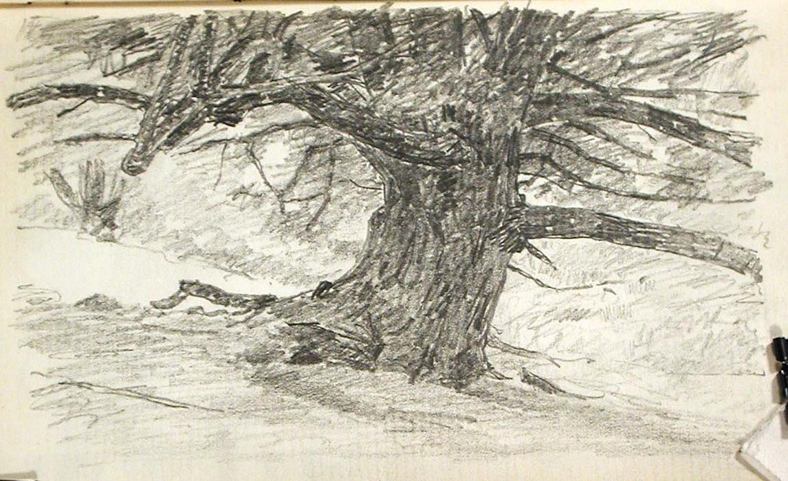 WikiOO.org - دایره المعارف هنرهای زیبا - نقاشی، آثار هنری John Ottis Adams - Tree Trunk