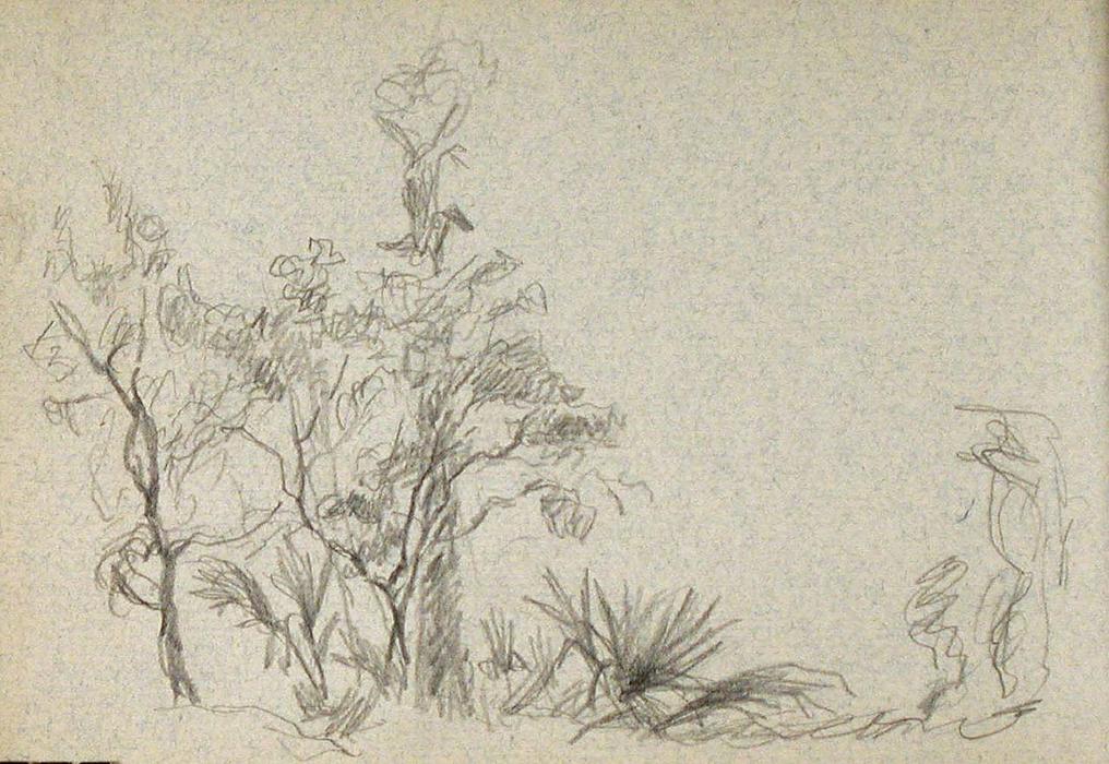 WikiOO.org - دایره المعارف هنرهای زیبا - نقاشی، آثار هنری John Ottis Adams - Trees and Palms