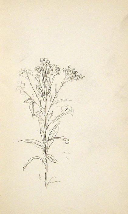 WikiOO.org - Güzel Sanatlar Ansiklopedisi - Resim, Resimler John Ottis Adams - Wildflower