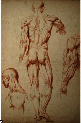 Wikioo.org - The Encyclopedia of Fine Arts - Painting, Artwork by Julian Alden Weir - Anatomical Study