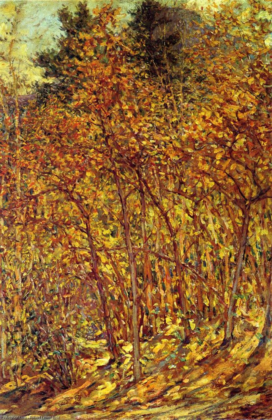 Wikioo.org – L'Encyclopédie des Beaux Arts - Peinture, Oeuvre de Robert Lewis Reid - Lumière du soleil d automne