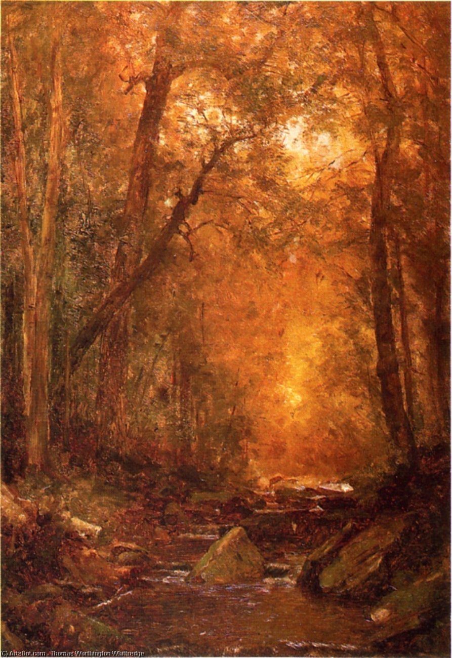 Wikioo.org - The Encyclopedia of Fine Arts - Painting, Artwork by Thomas Worthington Whittredge - A Catskill Brook 1