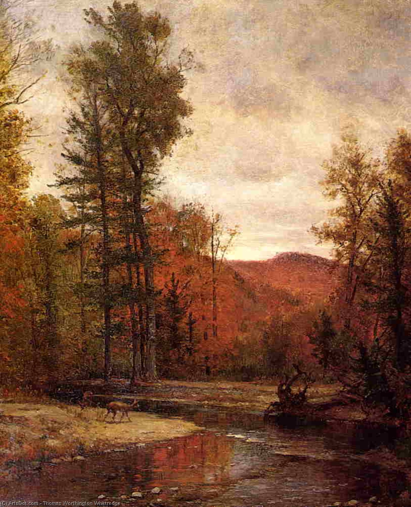 Wikioo.org - The Encyclopedia of Fine Arts - Painting, Artwork by Thomas Worthington Whittredge - Adirondack Woodland With Two Deer