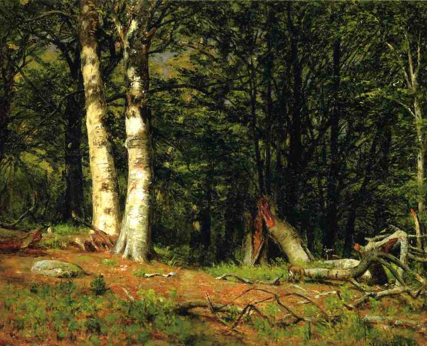 Wikioo.org - The Encyclopedia of Fine Arts - Painting, Artwork by Thomas Worthington Whittredge - Fallen Birch