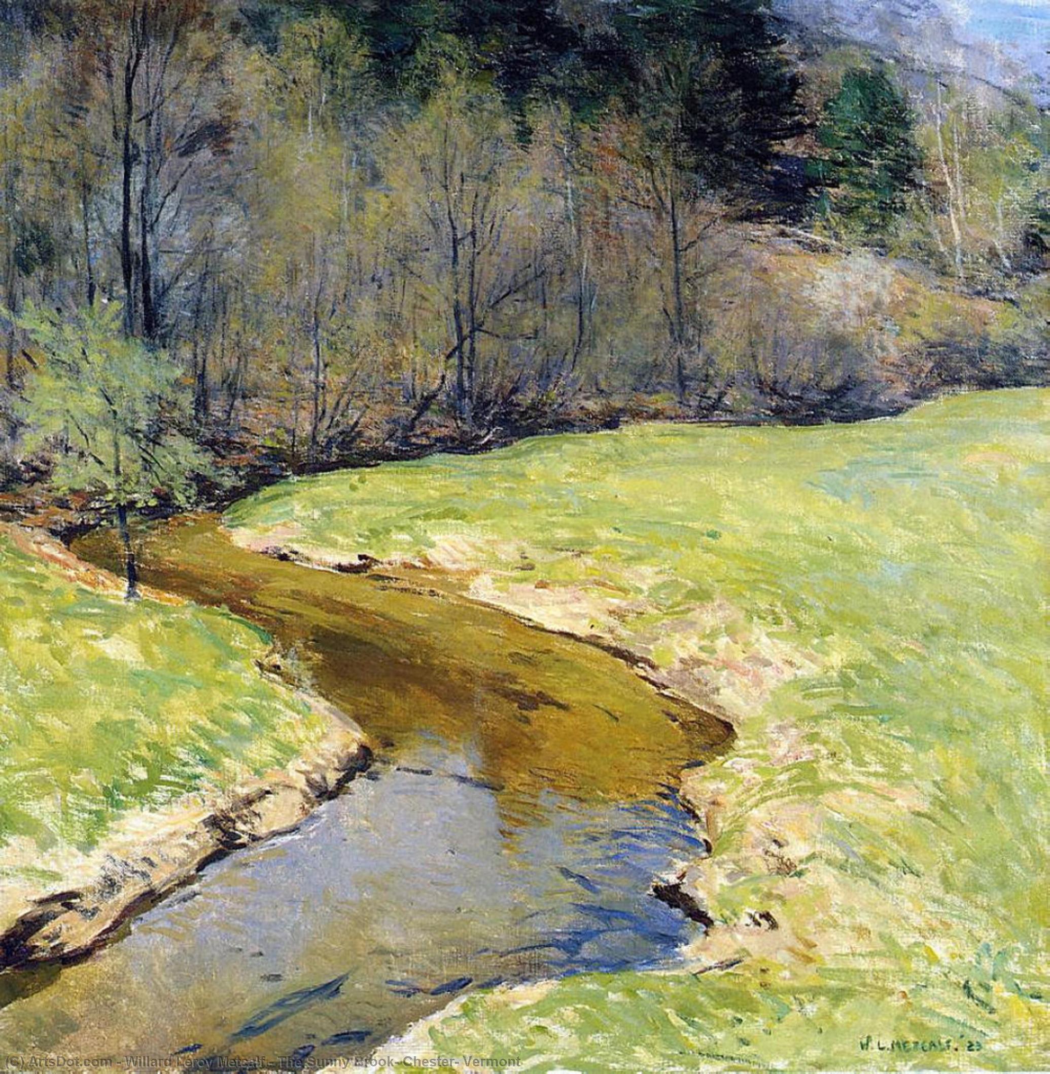 Wikioo.org - The Encyclopedia of Fine Arts - Painting, Artwork by Willard Leroy Metcalf - The Sunny Brook, Chester, Vermont