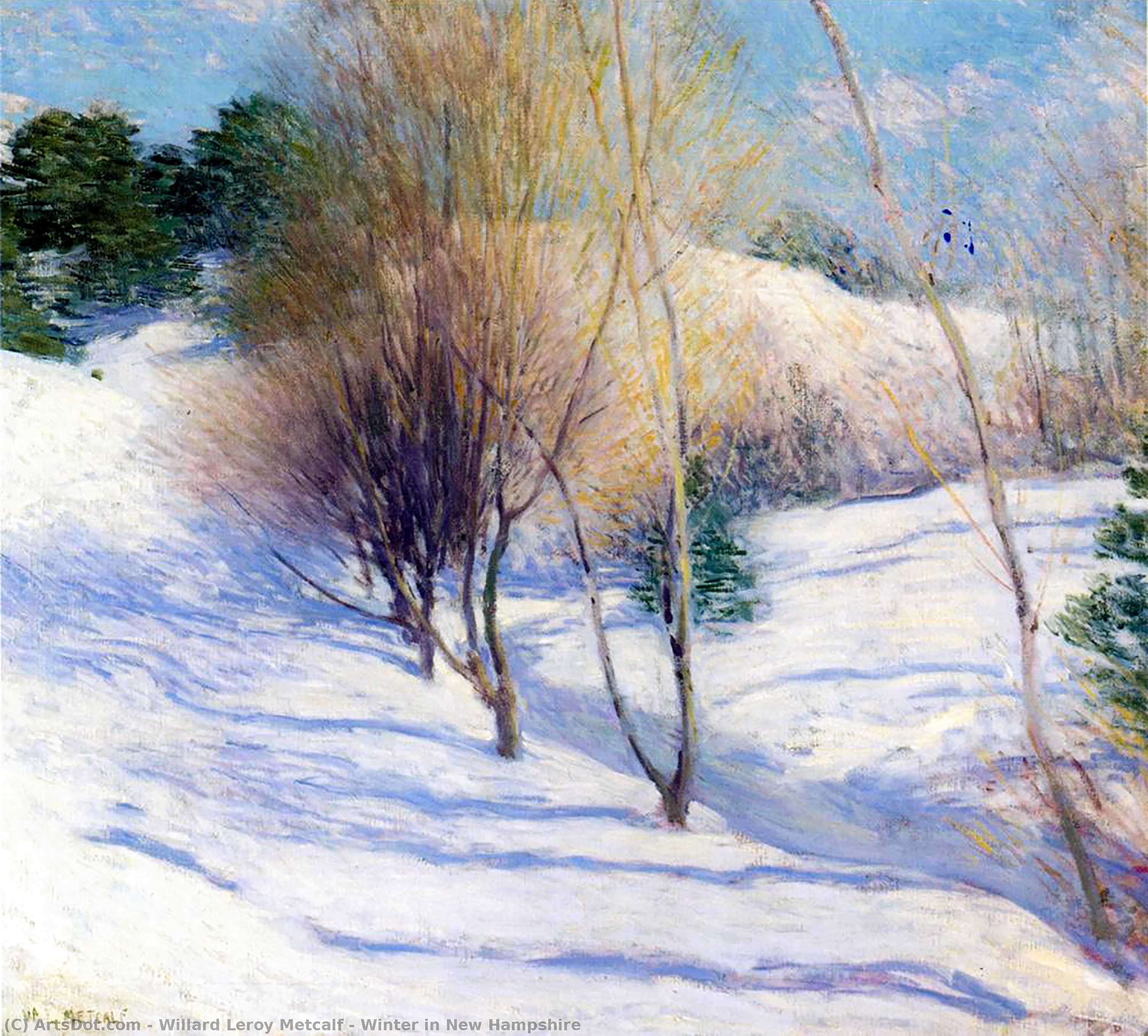 Wikioo.org - The Encyclopedia of Fine Arts - Painting, Artwork by Willard Leroy Metcalf - Winter in New Hampshire