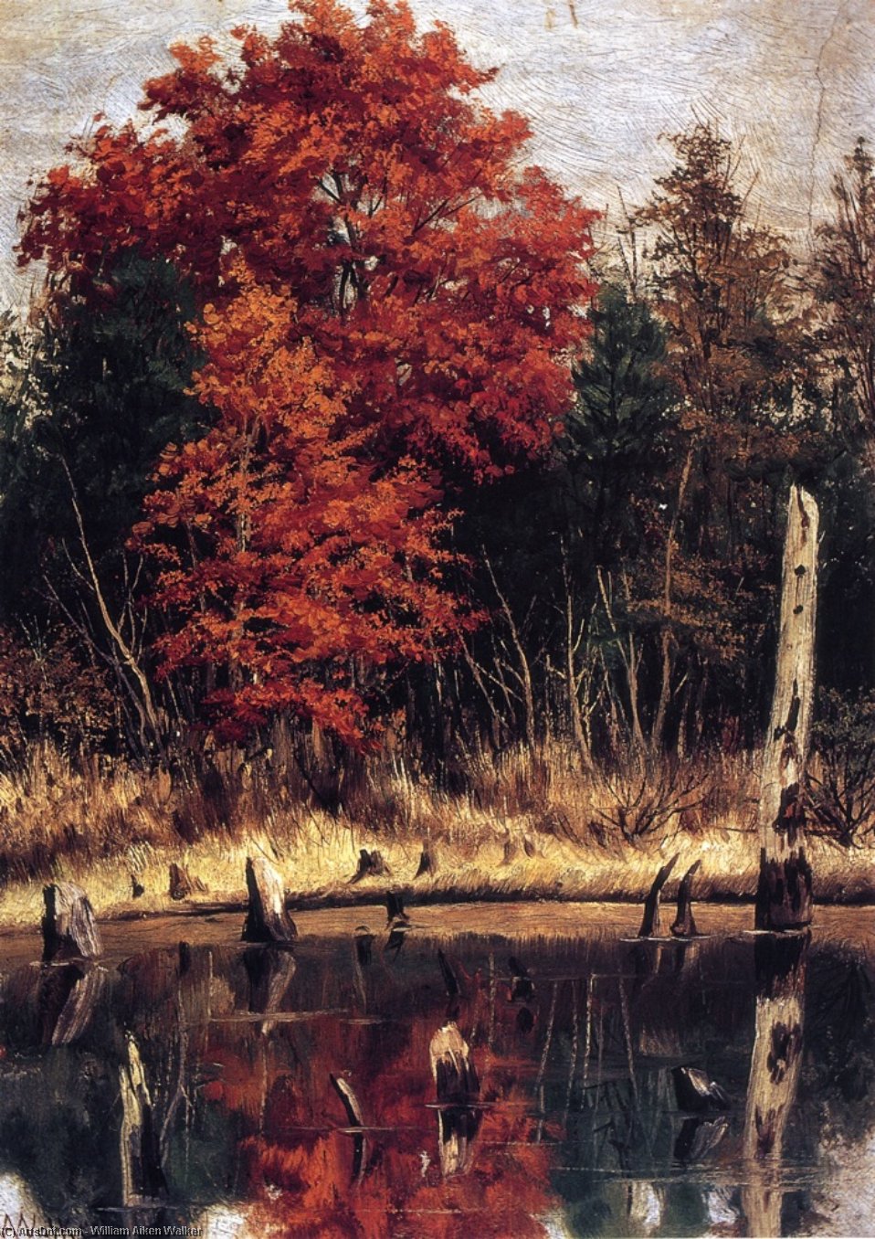 Wikioo.org - The Encyclopedia of Fine Arts - Painting, Artwork by William Aiken Walker - Autumn Wood In North Carolina With Tree Stumps In Water