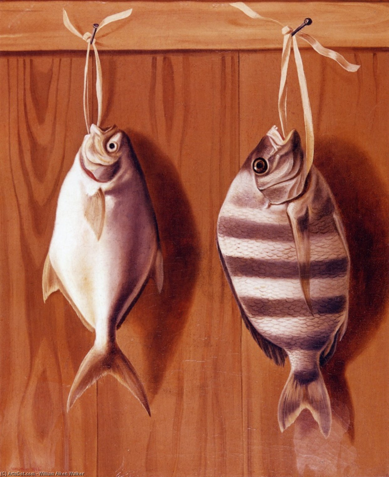 Wikioo.org - The Encyclopedia of Fine Arts - Painting, Artwork by William Aiken Walker - Dollar Fish and Sheephead