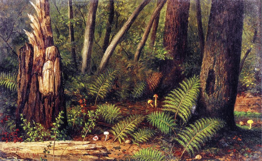 WikiOO.org - 백과 사전 - 회화, 삽화 William Aiken Walker - Forest with Ferns and Mushrooms