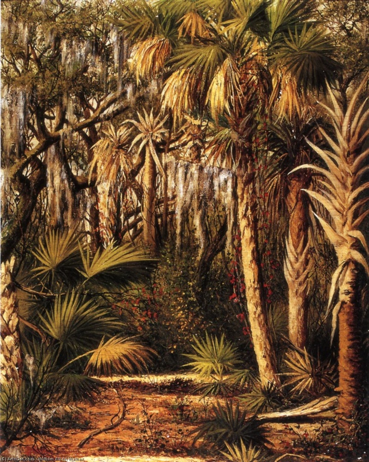 WikiOO.org - Encyclopedia of Fine Arts - Maleri, Artwork William Aiken Walker - Palm Hammock with Epiphytes