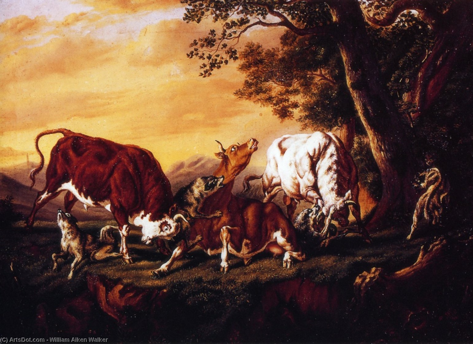 Wikioo.org - The Encyclopedia of Fine Arts - Painting, Artwork by William Aiken Walker - Wolves Attacking Cattle
