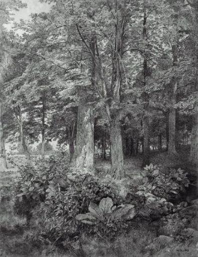 WikiOO.org - אנציקלופדיה לאמנויות יפות - ציור, יצירות אמנות William Trost Richards - Corner of the Woods