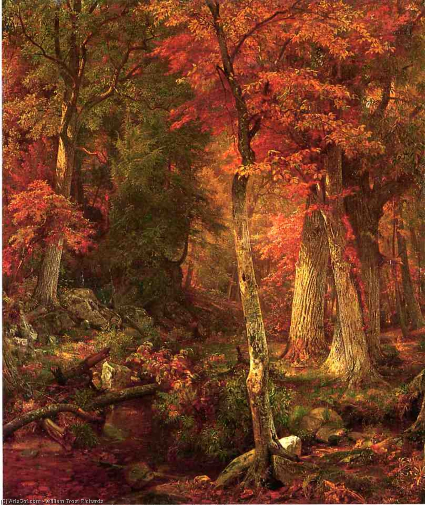 WikiOO.org - Енциклопедия за изящни изкуства - Живопис, Произведения на изкуството William Trost Richards - Forest Interior in Autumn