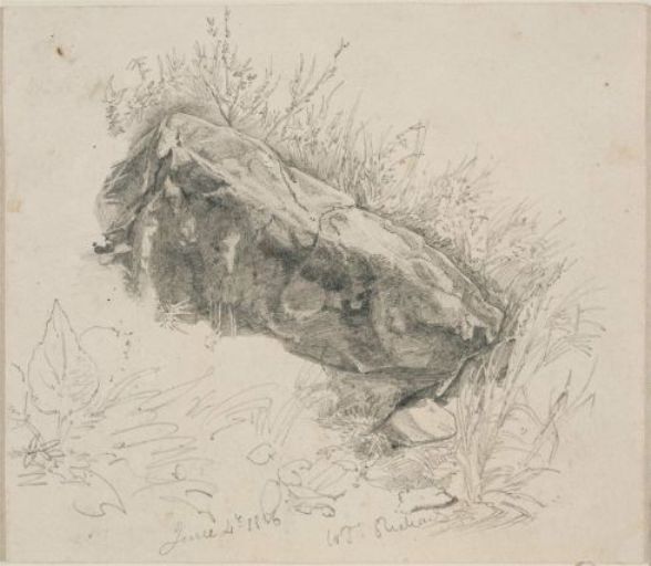 WikiOO.org - Енциклопедия за изящни изкуства - Живопис, Произведения на изкуството William Trost Richards - Overhanging rock with grasses