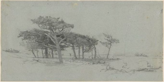 WikiOO.org - 百科事典 - 絵画、アートワーク William Trost Richards - 松 木 で 海