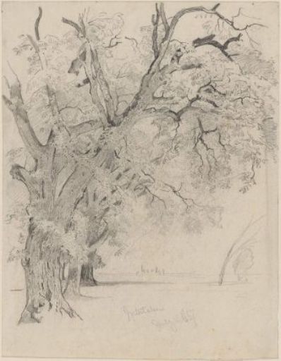 Wikioo.org - The Encyclopedia of Fine Arts - Painting, Artwork by William Trost Richards - Row of trees, Interlachen