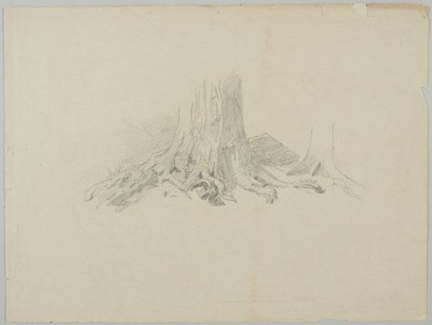 WikiOO.org - Encyclopedia of Fine Arts - Lukisan, Artwork William Trost Richards - Tree Roots
