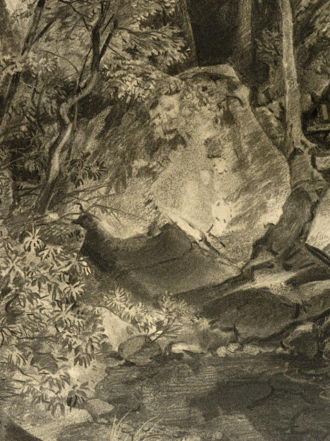 Wikioo.org - The Encyclopedia of Fine Arts - Painting, Artwork by William Trost Richards - Woodland Interior
