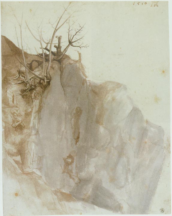 WikiOO.org - Encyclopedia of Fine Arts - Lukisan, Artwork Albrecht Durer - A Quarry