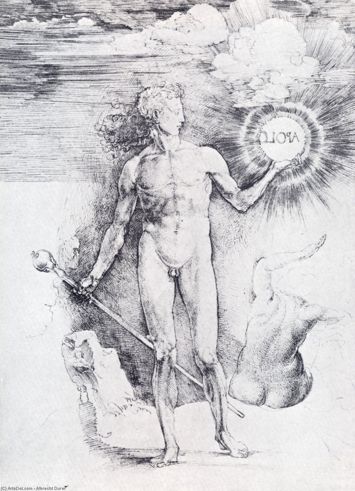 Wikioo.org - สารานุกรมวิจิตรศิลป์ - จิตรกรรม Albrecht Durer - Apollo with the Solar Disc