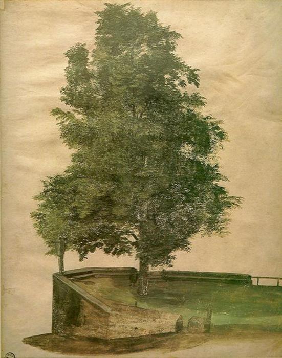 WikiOO.org - Encyclopedia of Fine Arts - Maľba, Artwork Albrecht Durer - Linden Tree on a Bastion