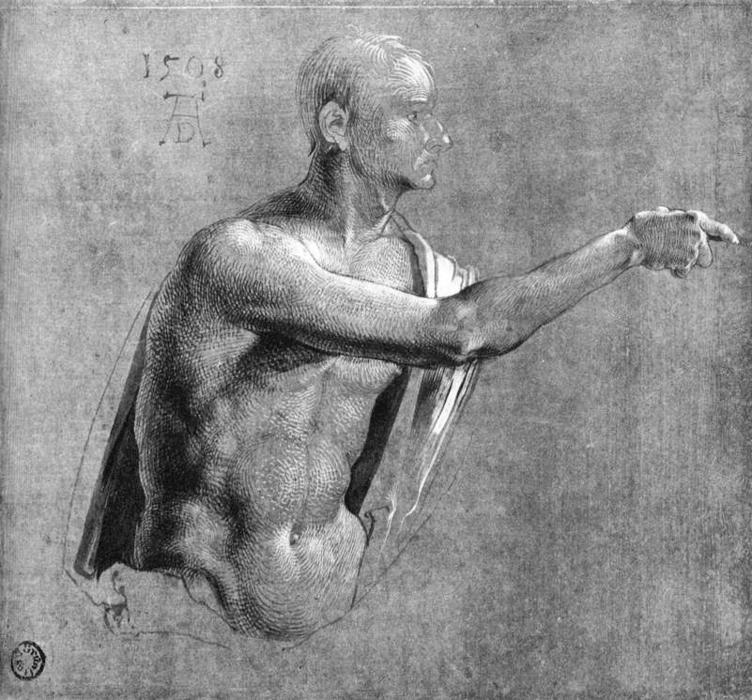 WikiOO.org - Εγκυκλοπαίδεια Καλών Τεχνών - Ζωγραφική, έργα τέχνης Albrecht Durer - Male Nude, Half-length