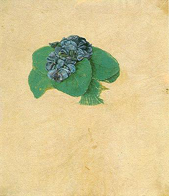WikiOO.org - Encyclopedia of Fine Arts - Maleri, Artwork Albrecht Durer - Nosegay of Violets