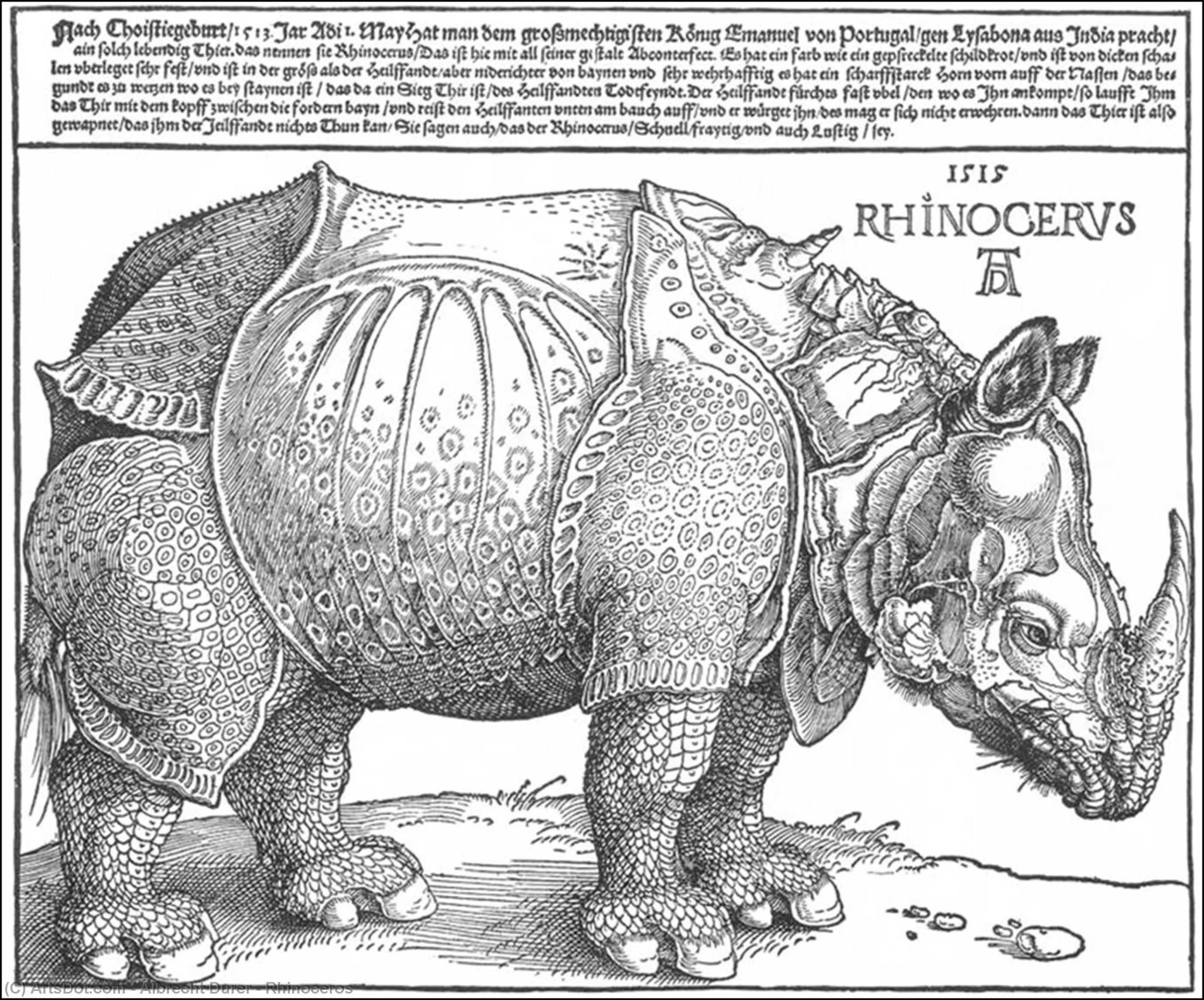 Wikioo.org - The Encyclopedia of Fine Arts - Painting, Artwork by Albrecht Durer - Rhinoceros