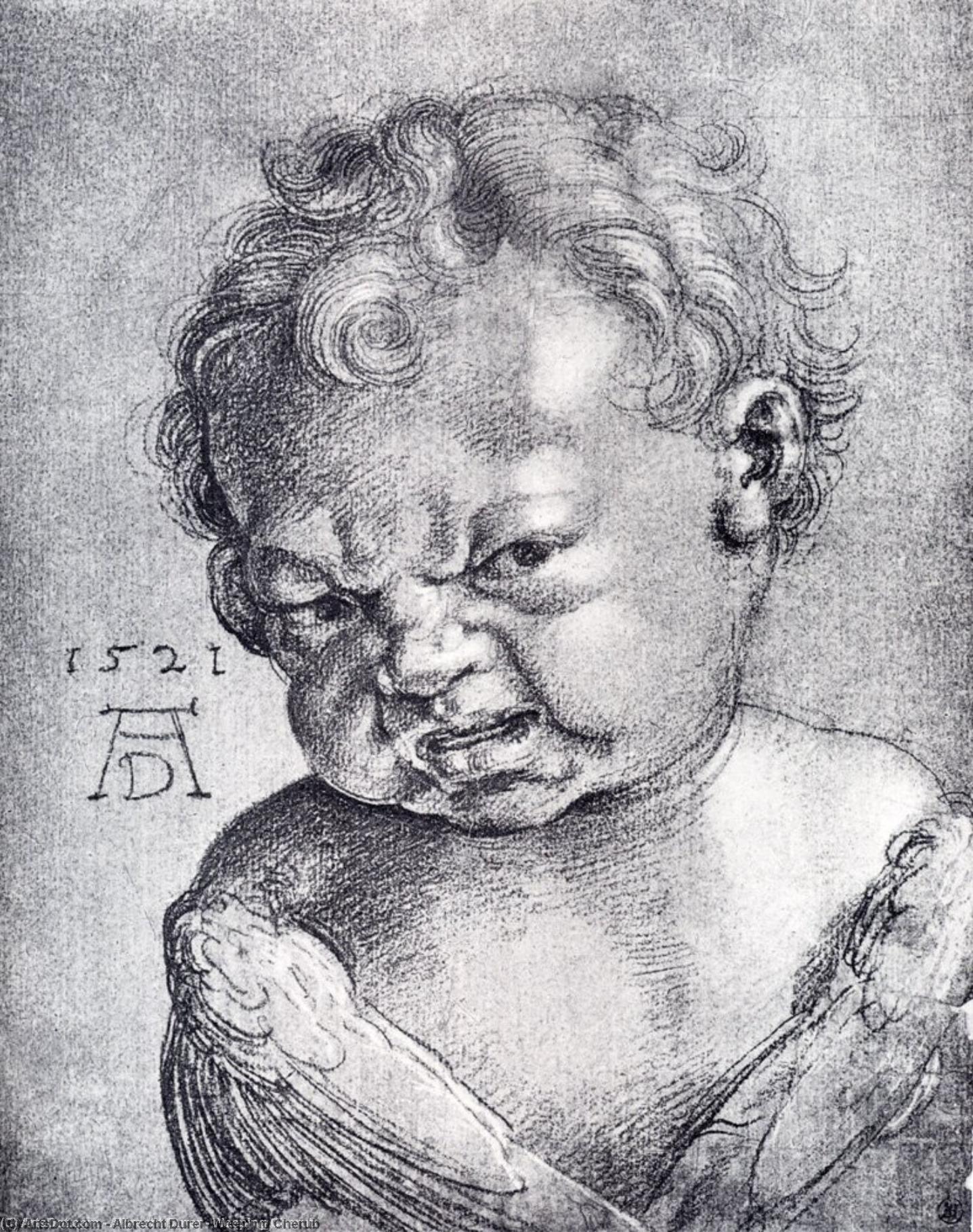 WikiOO.org - Encyclopedia of Fine Arts - Schilderen, Artwork Albrecht Durer - Weeping Cherub