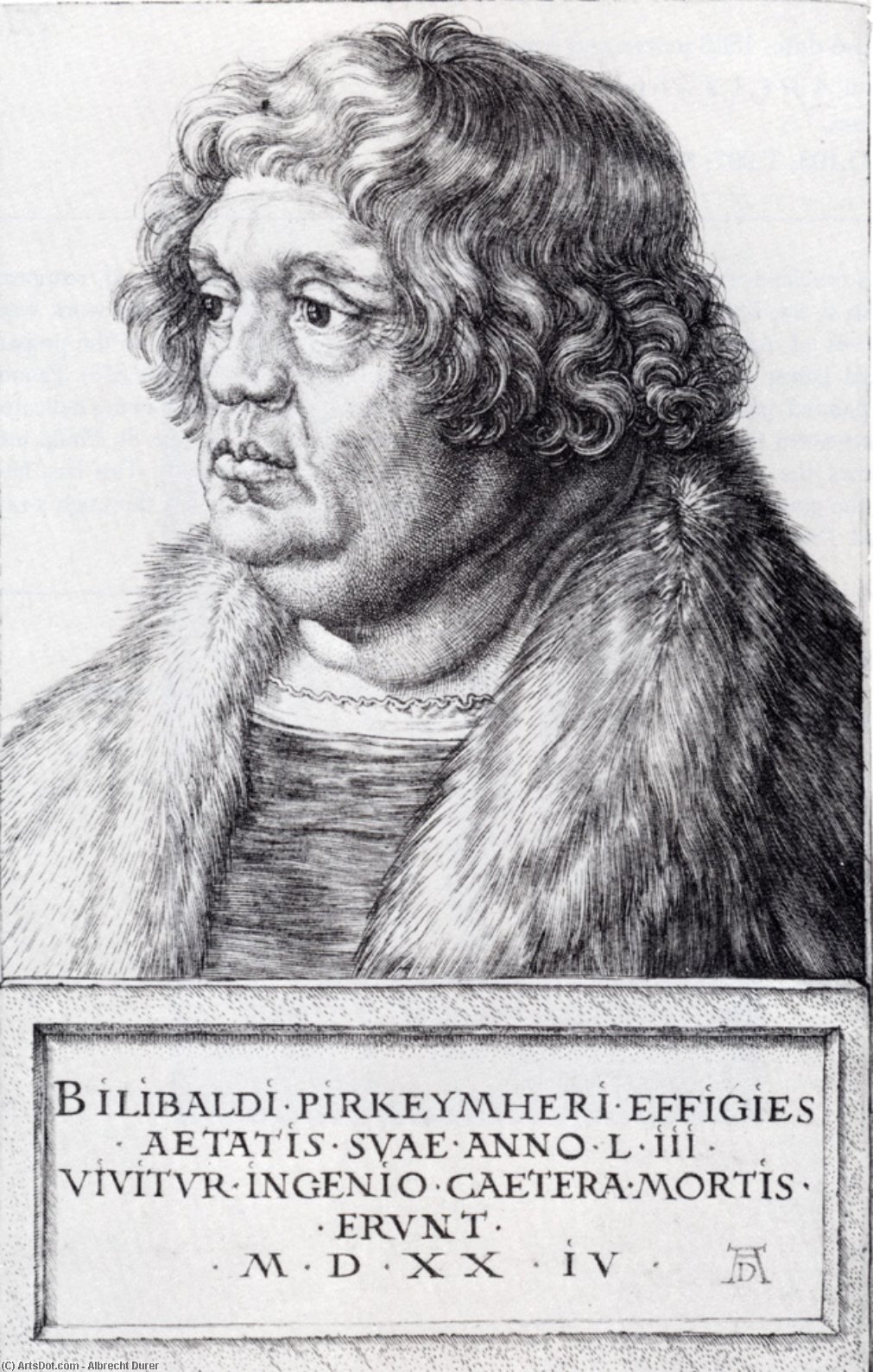 WikiOO.org - Encyclopedia of Fine Arts - Lukisan, Artwork Albrecht Durer - Willibald Pirckheimer