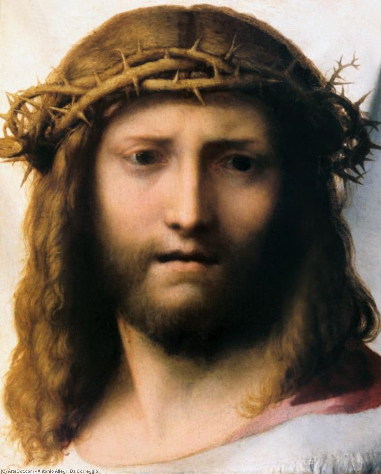 Wikioo.org - The Encyclopedia of Fine Arts - Painting, Artwork by Antonio Allegri Da Correggio - Head of Christ