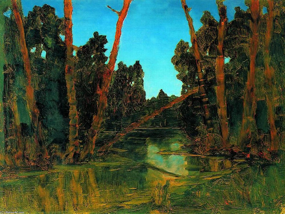 Wikioo.org - The Encyclopedia of Fine Arts - Painting, Artwork by Arkhip Ivanovich Kuinji - Forest bog