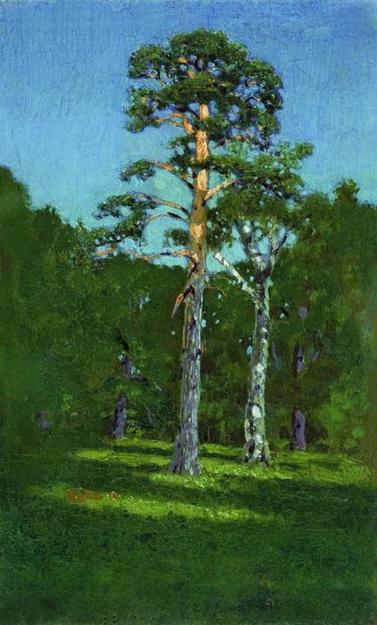 WikiOO.org - Encyclopedia of Fine Arts - Schilderen, Artwork Arkhip Ivanovich Kuinji - Pine-tree