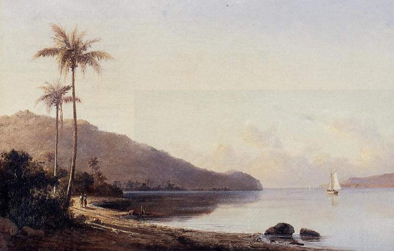 Wikioo.org – La Enciclopedia de las Bellas Artes - Pintura, Obras de arte de Camille Pissarro - Una cala en Saint Thomas, Islas